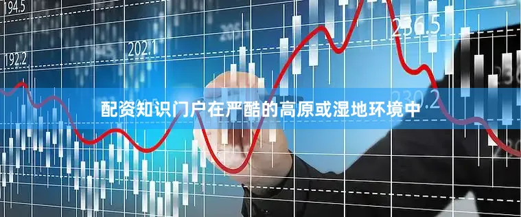 配资知识门户在严酷的高原或湿地环境中