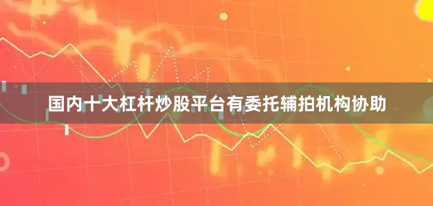 国内十大杠杆炒股平台有委托辅拍机构协助