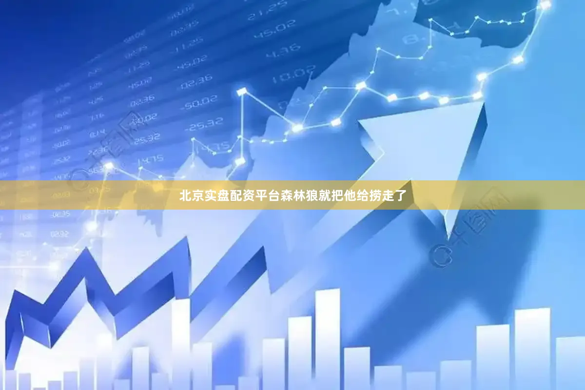 北京实盘配资平台森林狼就把他给捞走了