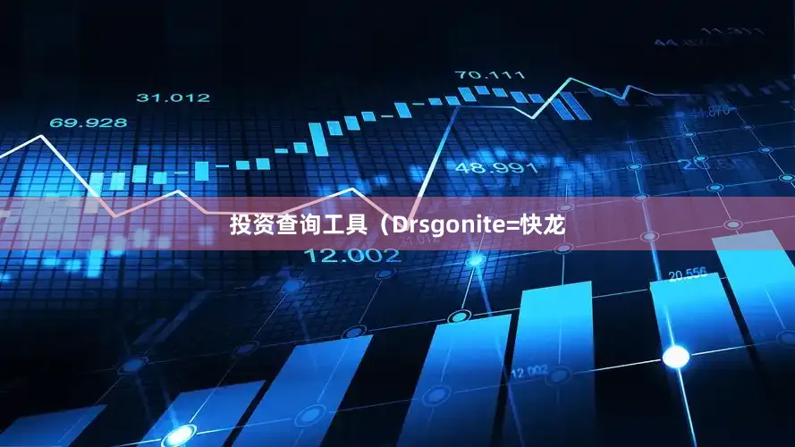投资查询工具（Drsgonite=快龙