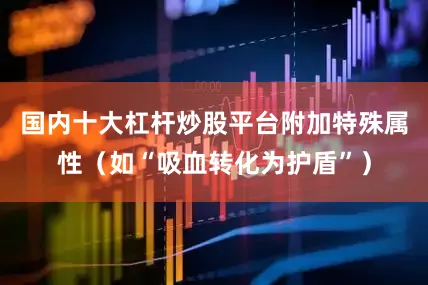 国内十大杠杆炒股平台附加特殊属性（如“吸血转化为护盾”）