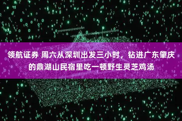 领航证券 周六从深圳出发三小时，钻进广东肇庆的鼎湖山民宿里吃一顿野生灵芝鸡汤